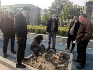 那晚七点半的固定节目，新闻联播天气预报回放里的集体记忆