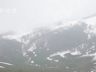 新疆天气，一场四季交响的极致体验