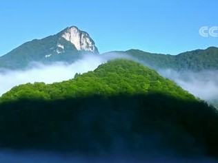 探秘北纬31°的绿色奇迹，神农架旅游全攻略