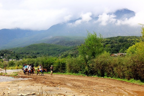 云南一直下雨怎么旅游啊？这份湿意玩法指南请收好