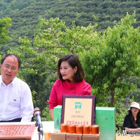 准时准点天气预报下载，你的天气助手，精准掌握每一刻