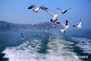 东戴河天气预报,海风中的温度,才是度假的心情指南 东戴河天气预报,海风中的温度,才是度假的心情指南