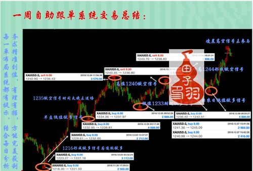 红单达人专家免费中心版V44.93.41.208安卓系统版本-好用 红单达人专家免费中心版V44.93.41.208安卓系统版本-好用