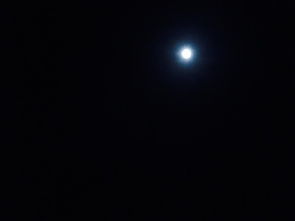 迪拜天气，一半是火焰，一半是空调