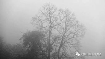巴中的雨，巴中的雾