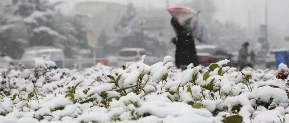 下周天气，冷暖交替，雨雪试探春意