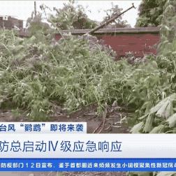 湛江天气预报15天查询,掌握海洋气候,从容规划每日生活 湛江天气预报15天查询,掌握海洋气候,从容规划每日生活