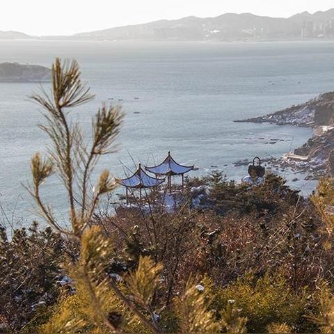 大连旅游必去景点,山海之间的浪漫之城,这些地方不容错过 大连旅游必去景点,山海之间的浪漫之城,这些地方不容错过