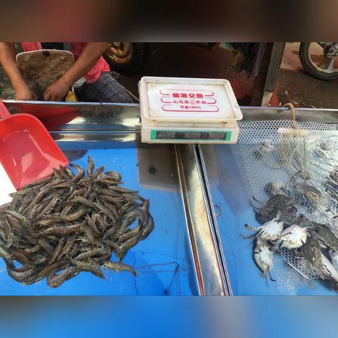 东营天气预报查询，掌握天气变化，从容应对每一天