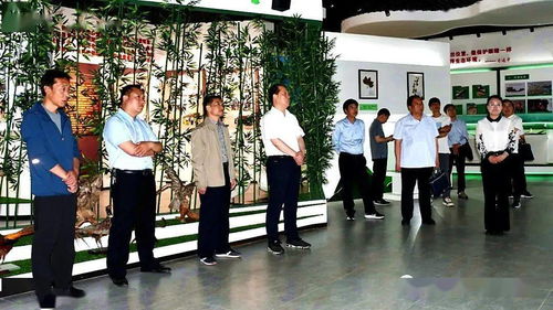 温州气象台台风网，守护城市安全的云端哨兵