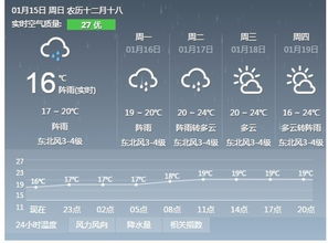 海口天气预报，热带风情中的气候密码